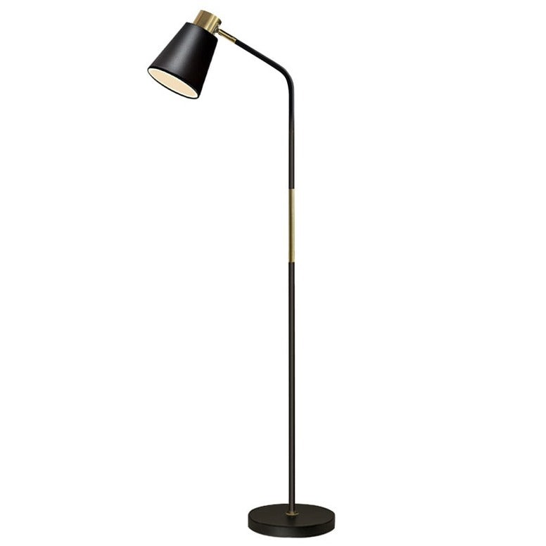 Two-tone metal floor lamp F1020