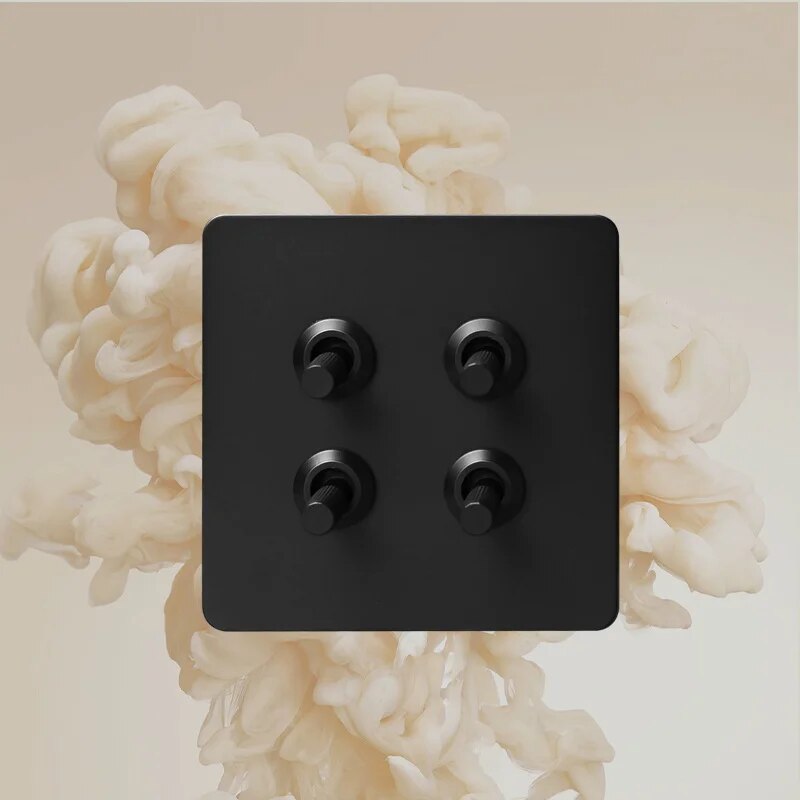 Prises et interrupteurs à bascule noire en acier inoxydable SNC22