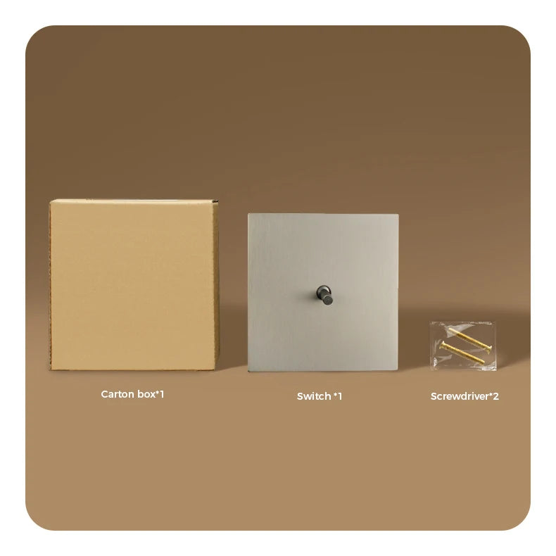 Prises et interrupteurs design minimaliste à bascule en acier inoxydable gris effet brossé SVS12