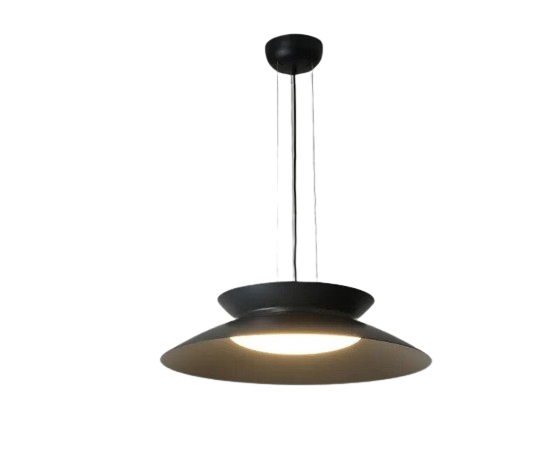 Simple design LED metal pendant light SCHOTEL